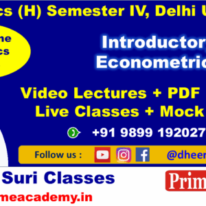 Introductory Econometrics Online Coaching