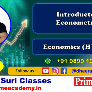Introductory Econometrics 2024 PYQ Solution Videos